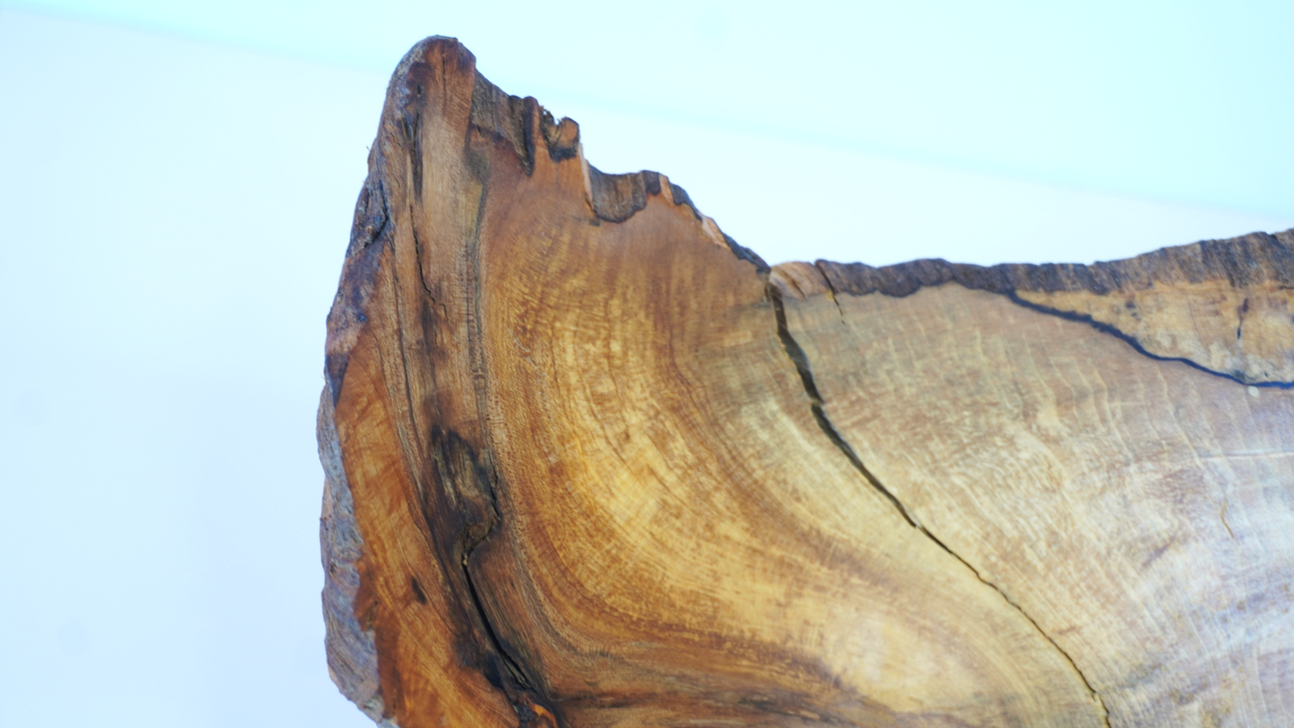 Gnarled Log Bowl